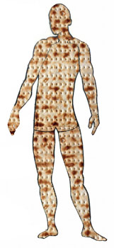 The Matzah Man - Guest Columnists - Parshah