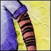 Mitzvot & Jewish Customs