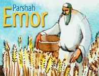This Week's Torah Portion: Emor