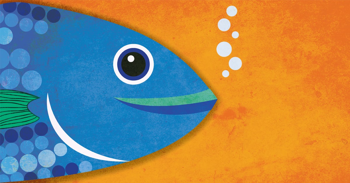 Why Do We Eat a Fish Head on Rosh Hashanah?