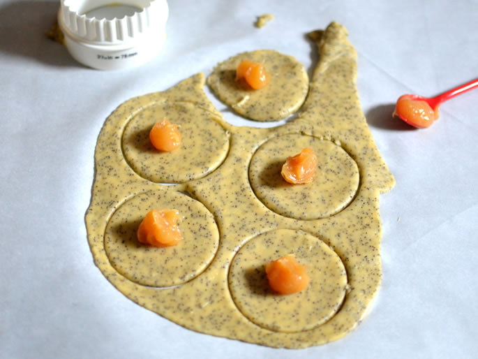 Lemon Poppy Seed Hamantaschen Cookies Kosher Recipe