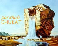 Image result for chukat torah portion images