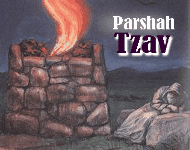 Image result for tzav torah portion images