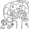 Tu B'Shevat Coloring Pages - The 15th of Shevat - Jewish Kids